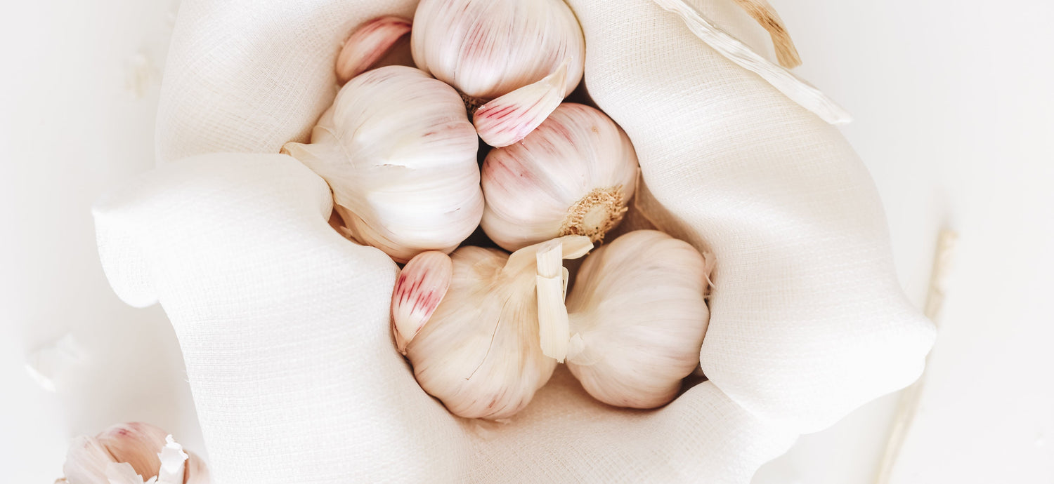 Spotlight on Garlic - BodyICE Australia