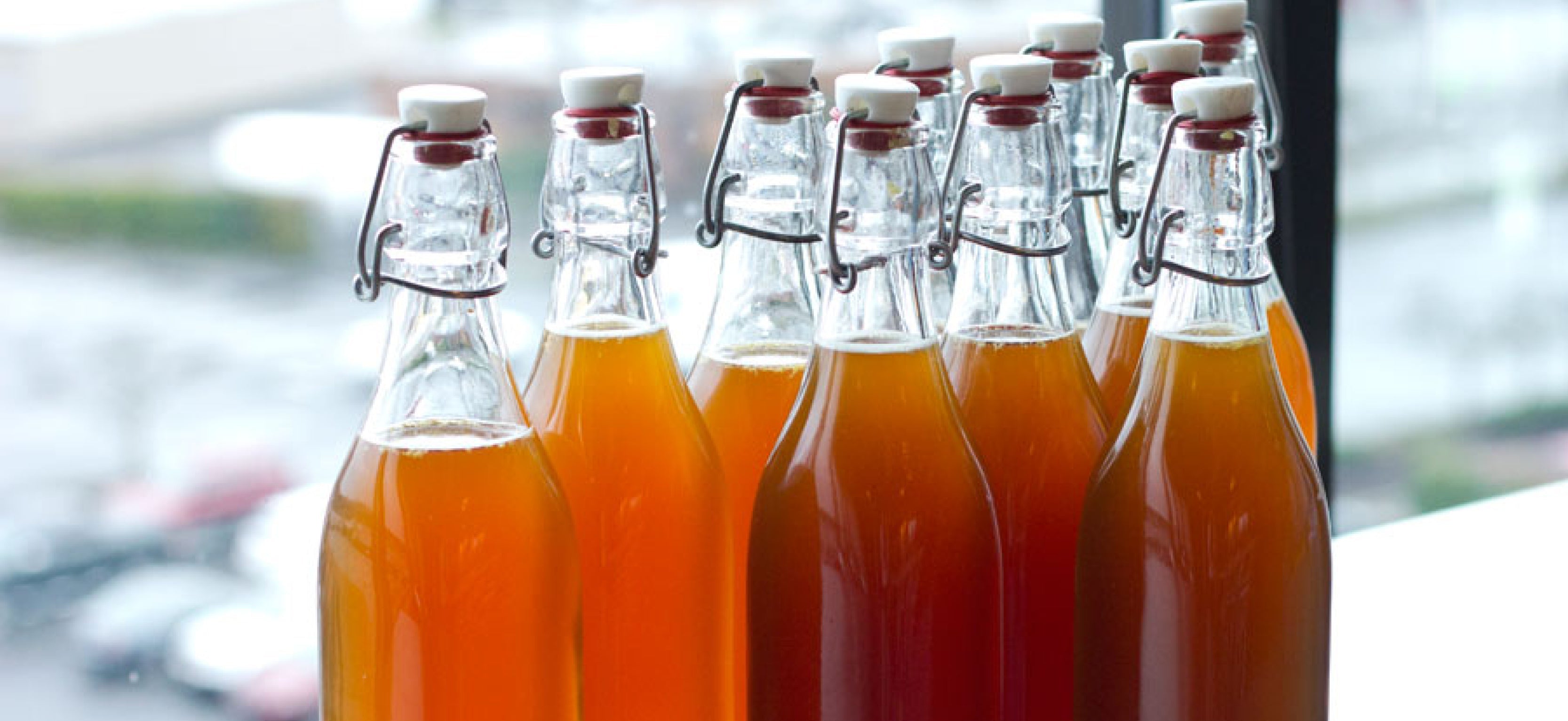 Spotlight on Kombucha - BodyICE Australia