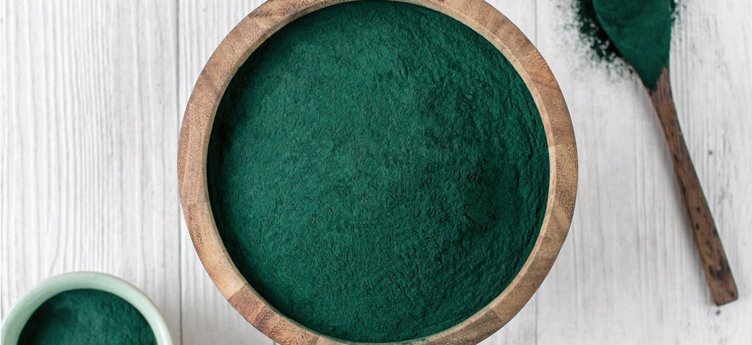 Spotlight on Spirulina - BodyICE Australia