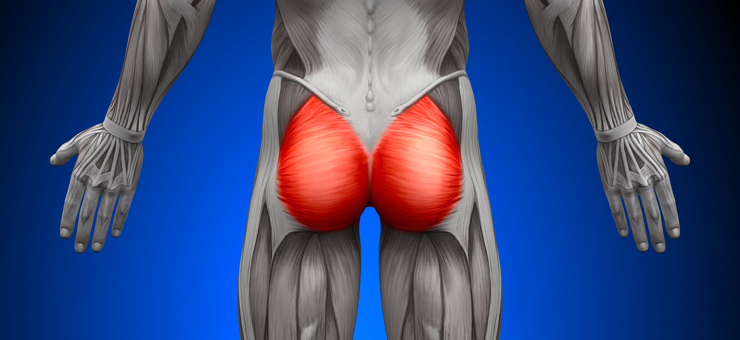 Strong Glutes: The Key to Good Health? - BodyICE Australia