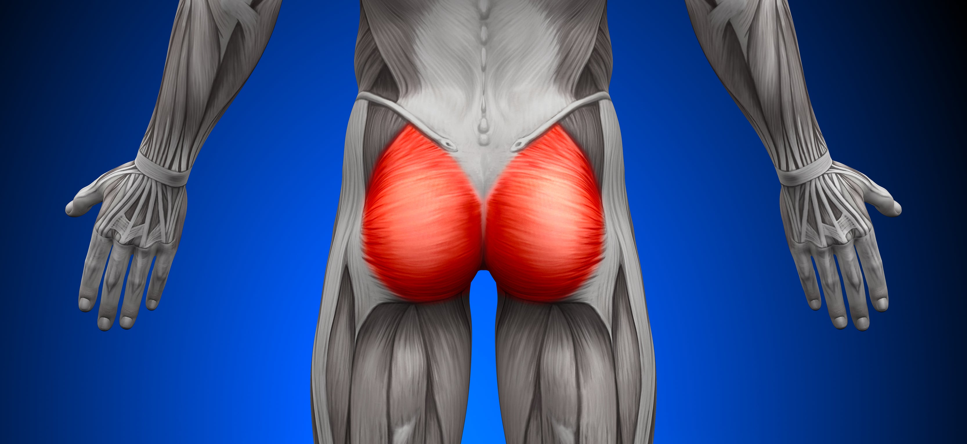 Strong Glutes: The Key to Good Health? - BodyICE Australia