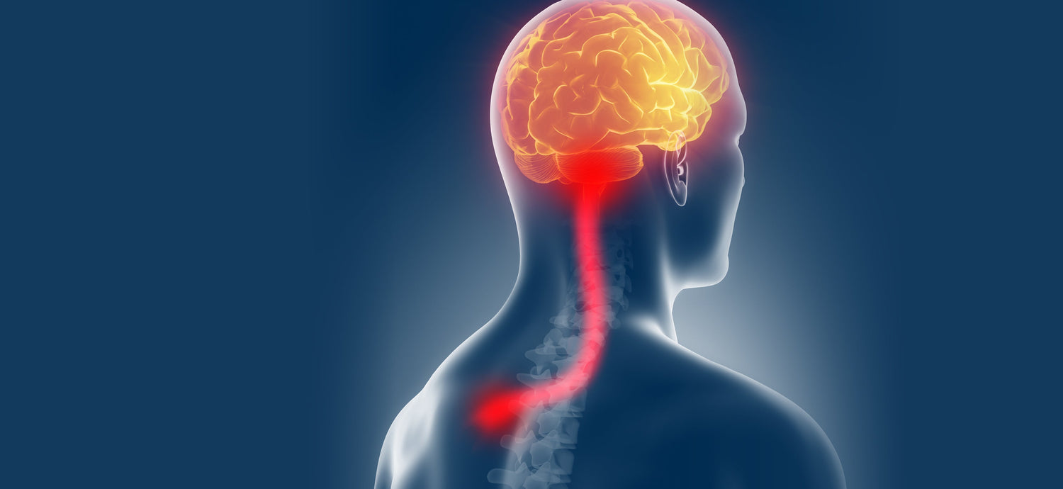 What Happens When We Feel Pain? - BodyICE Australia