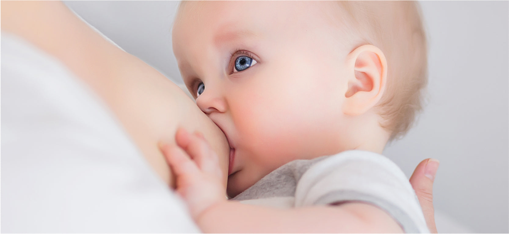 8 Tips for Successful Breastfeeding