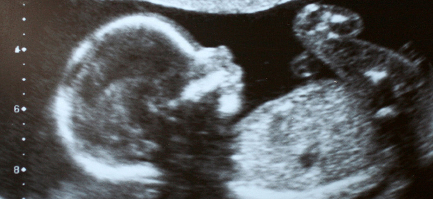 Can babies taste in the womb? What should I eat while pregnant? - BodyICE Australia