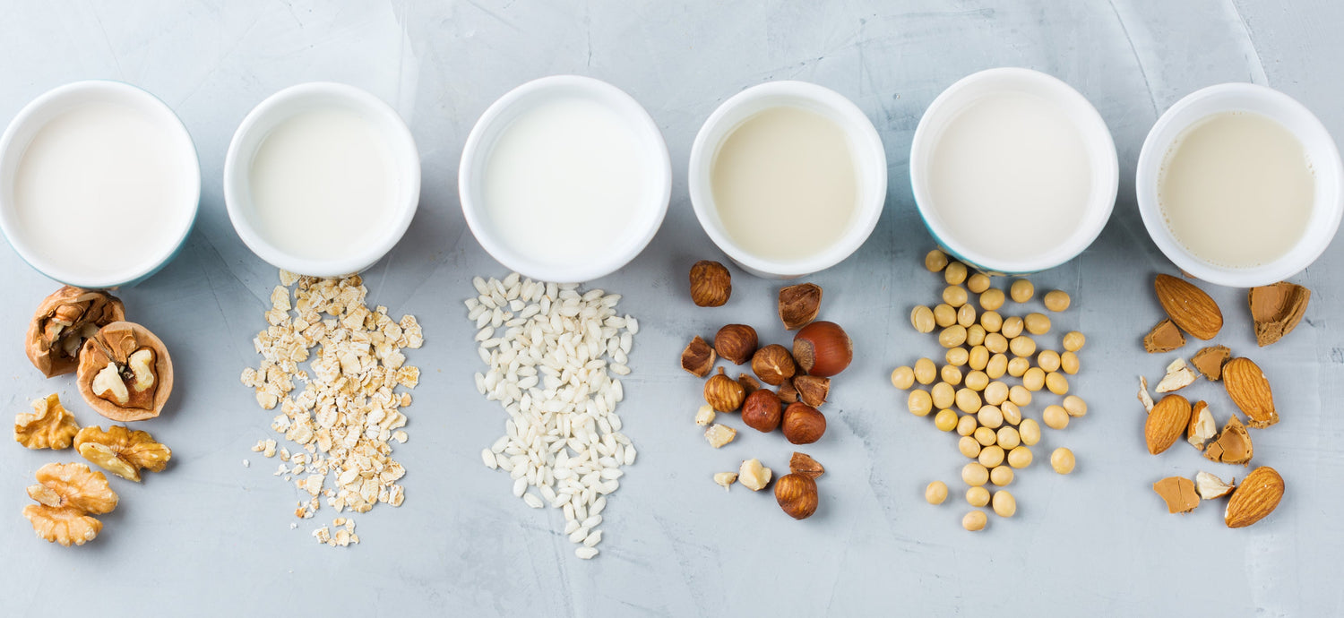 One-size-fits-all nut/seed and oat milk recipe - BodyICE Australia